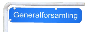 generalforsamling2